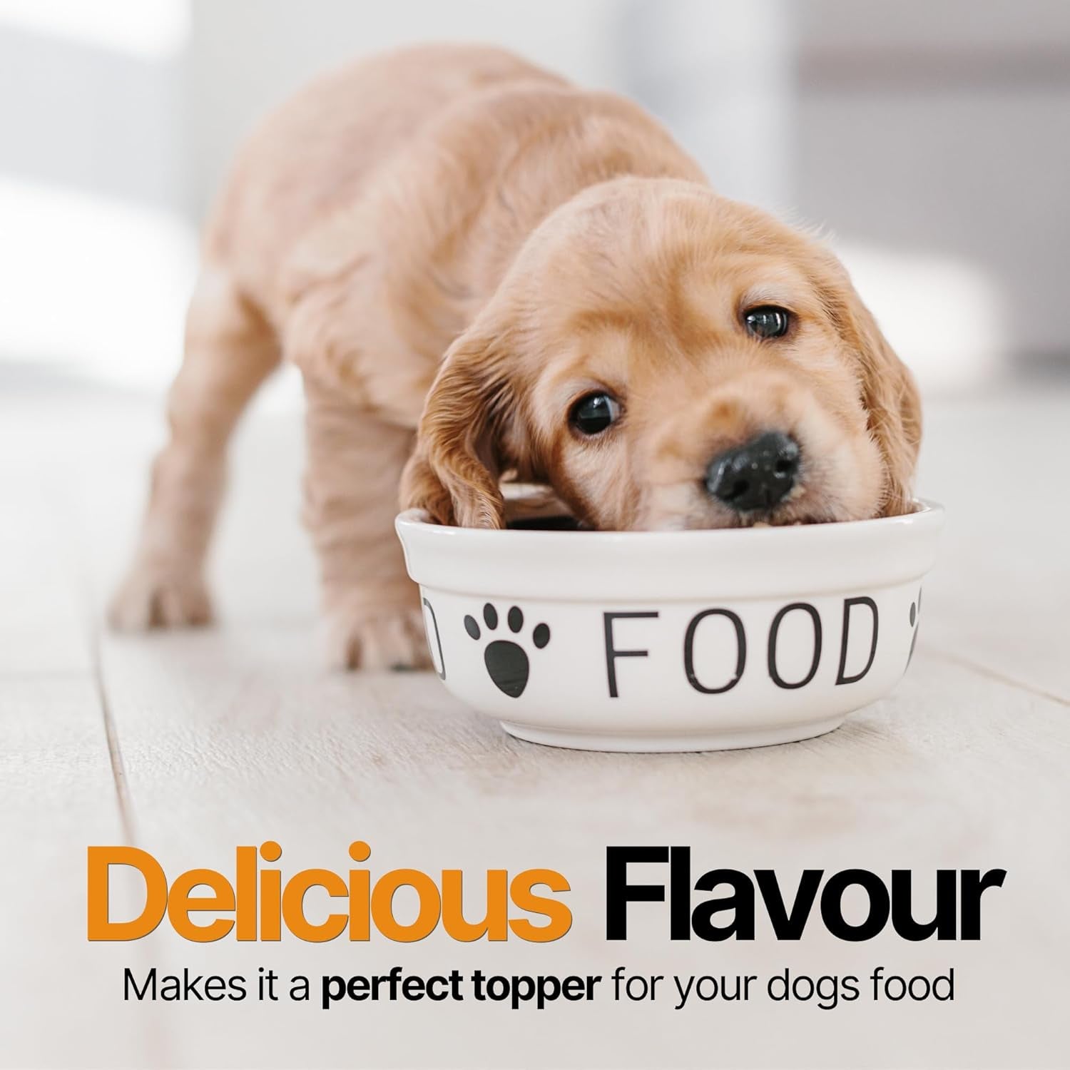 Pumpkin X by – 100% Pure Pumpkin Powder for Dogs 250G | Natural Digestive Supplement & High Fibre Topper | Firm Stools, Gut Health, Anal Gland Support, Make into Puree