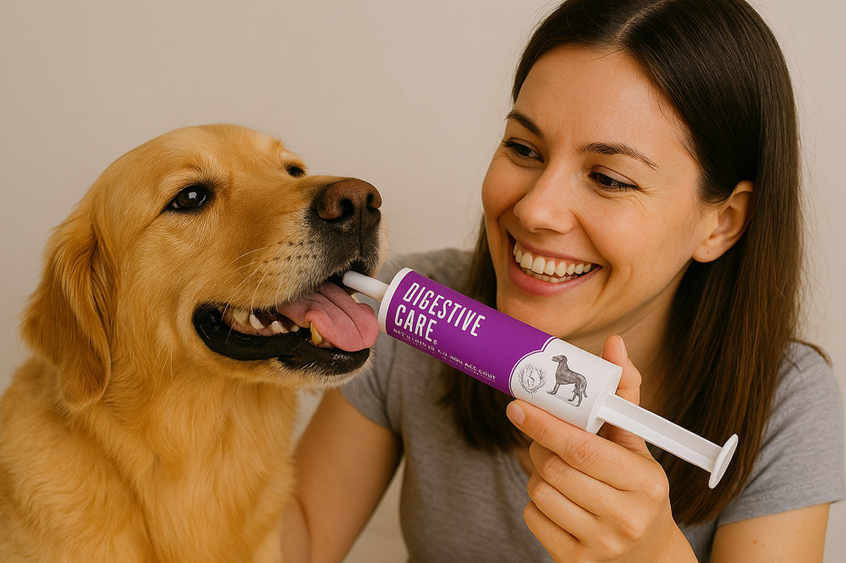 Fast Acting Dog Pre & Probiotic Paste–Gut Health & Stomach Relief, Vet Approved