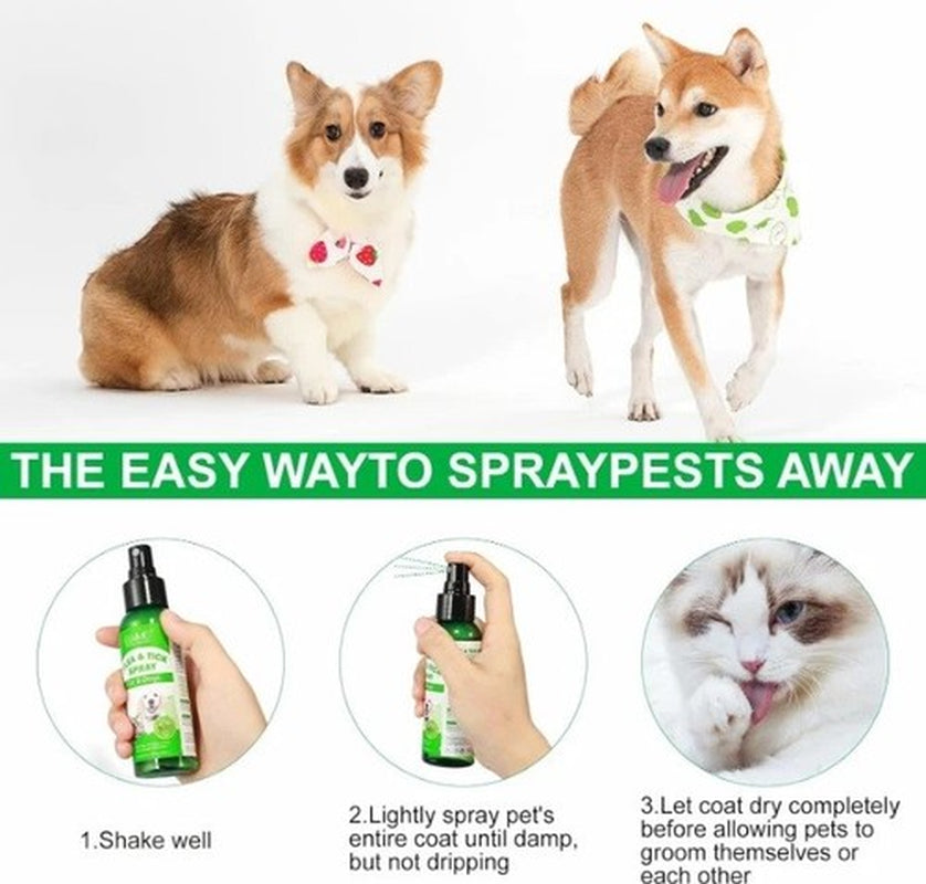 Flea & Tick Spray for Dogs & Cats 100Ml for Dry, Itchy & Irritated Skin -Natural