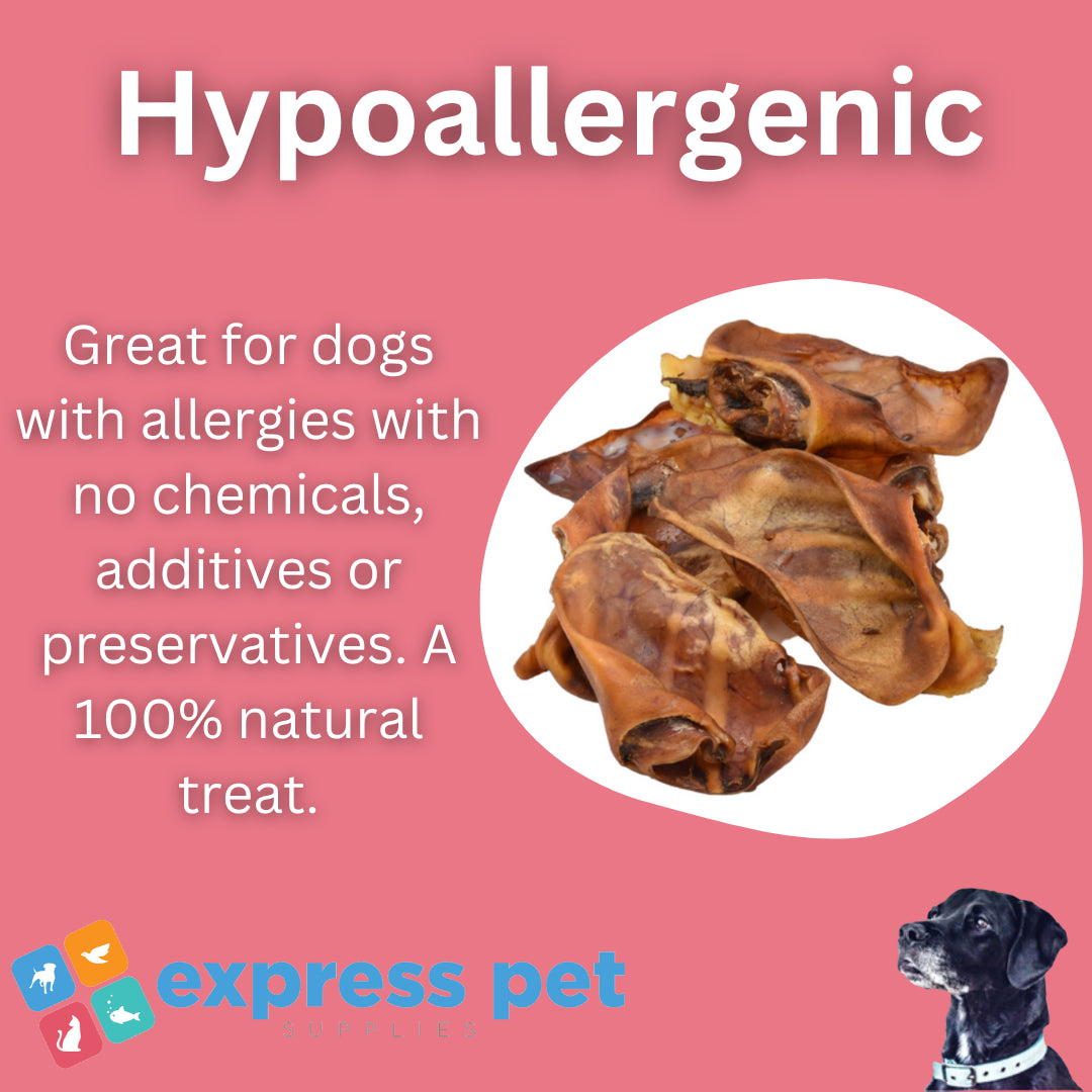 Pigs Ears Extra Large Dog Treats Chew High in Protein Low in Fat Hypoallergenic
