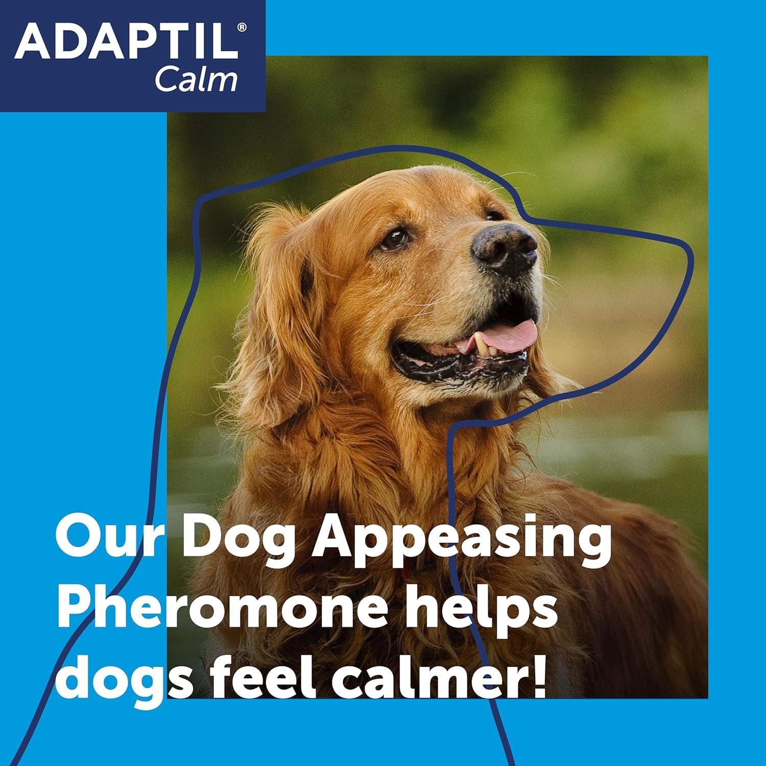 Calm Home Diffuser for Dogs with 30 Day Refill,  Dog Calming Plug in Pheromone Diffuser to Help Reduce Anxiety and Stress in Pet Dogs, Pet Diffuser Helps Anxious Dogs Stay Calmer