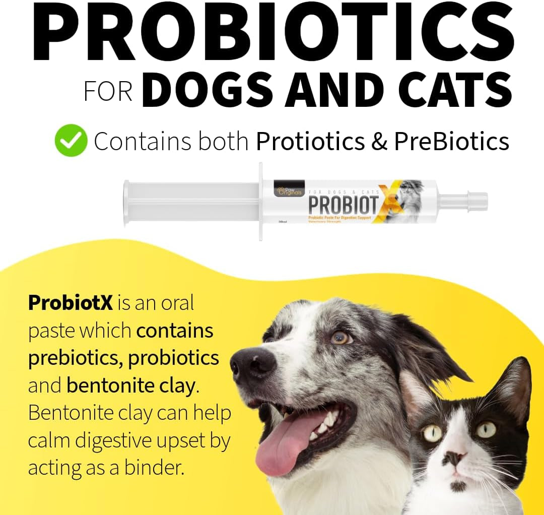 Probiotic X Paste for Dogs – 30Ml Advanced Pro & Prebiotic Formula – Digestive Support for Dogs – Tasty Flavor – Aids Diarrhea Recovery, Gut Health & Overall Wellness