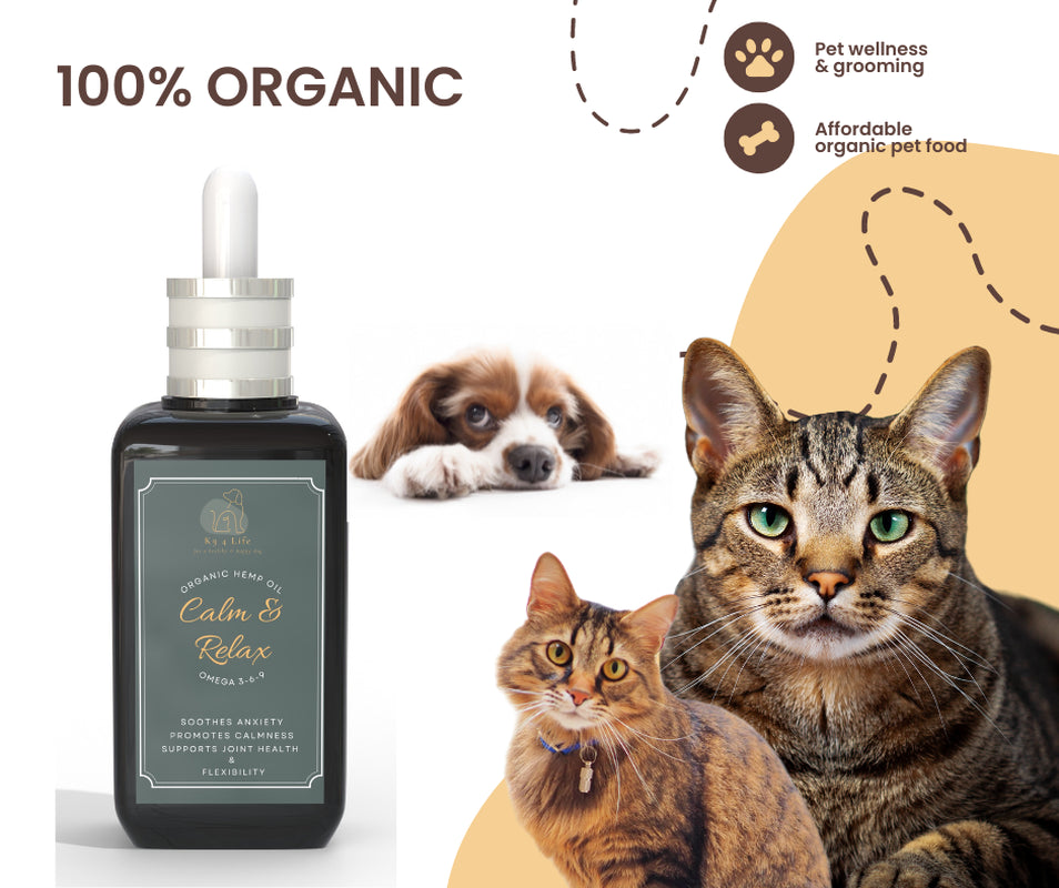 Dog Hemp Oil Pain Relief Joint Care Anxiety Arthritis Stress GET 30Ml FREE Uk