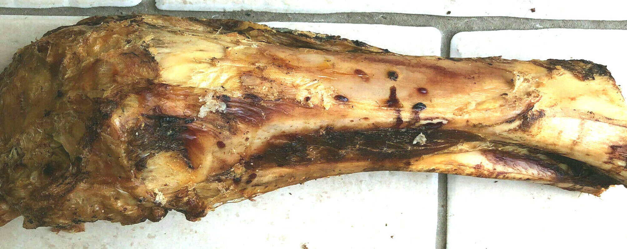 ROASTED WHOLE BONES : 2, 3 or 10 Large Roast Dog Treat Bp Dinosaur Postmans Legs