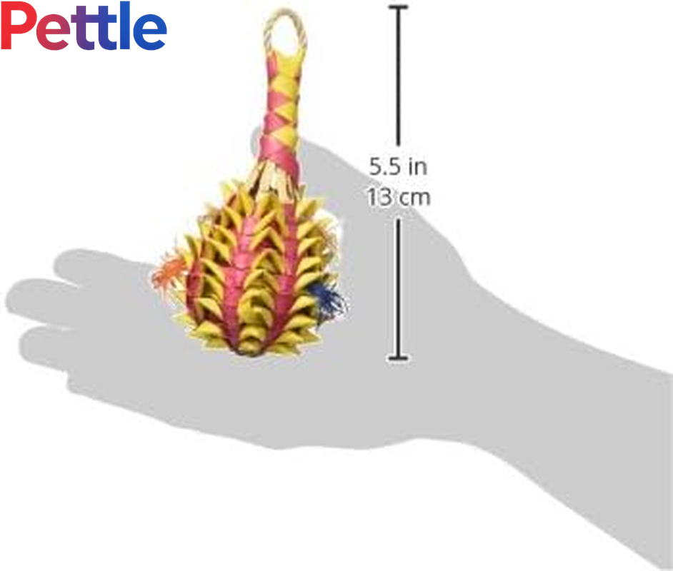 Pineapple Foraging Toy, Small