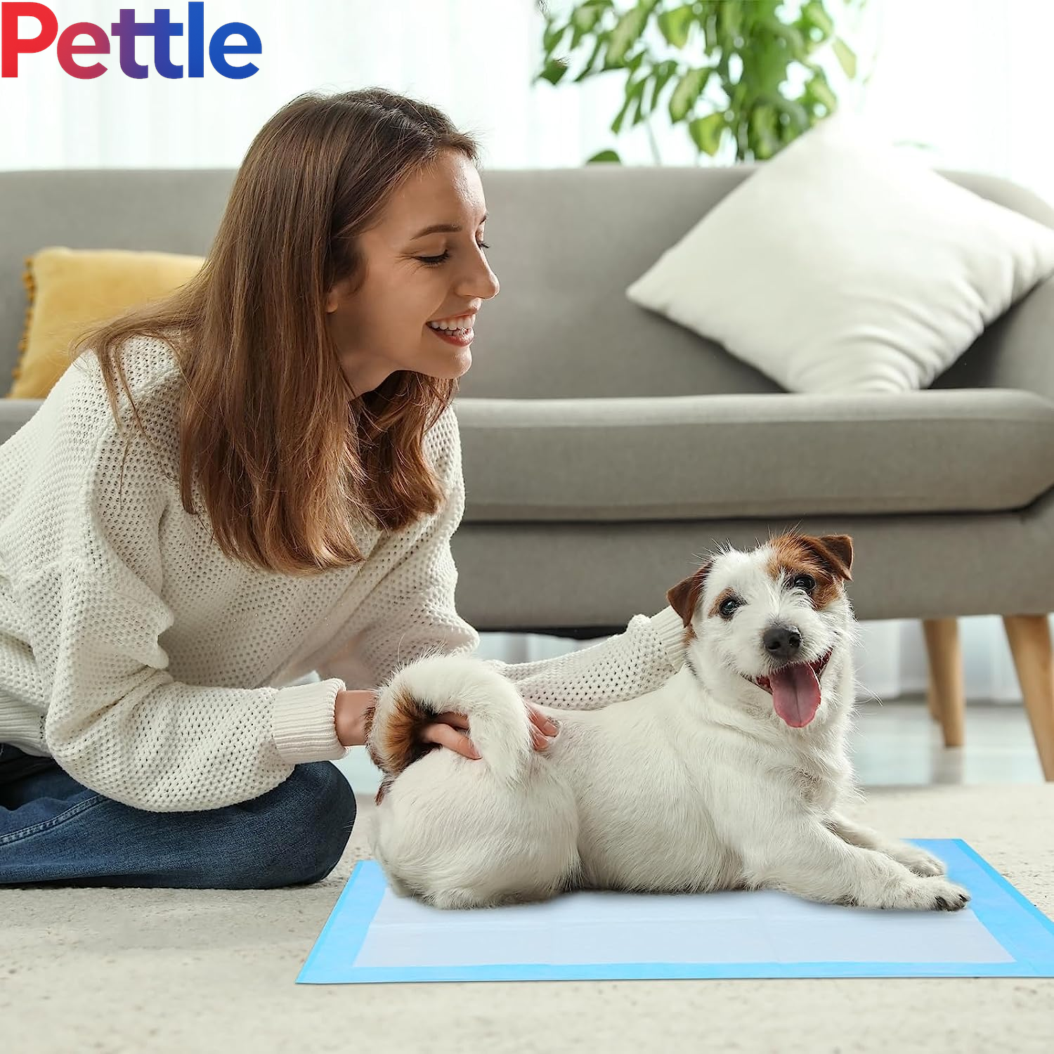 Super-Absorbent Waterproof Dog and Puppy Pet Training Pad, Housebreaking Pet Pad, 40-Count Medium-Size, 23.6’’X23.6’’