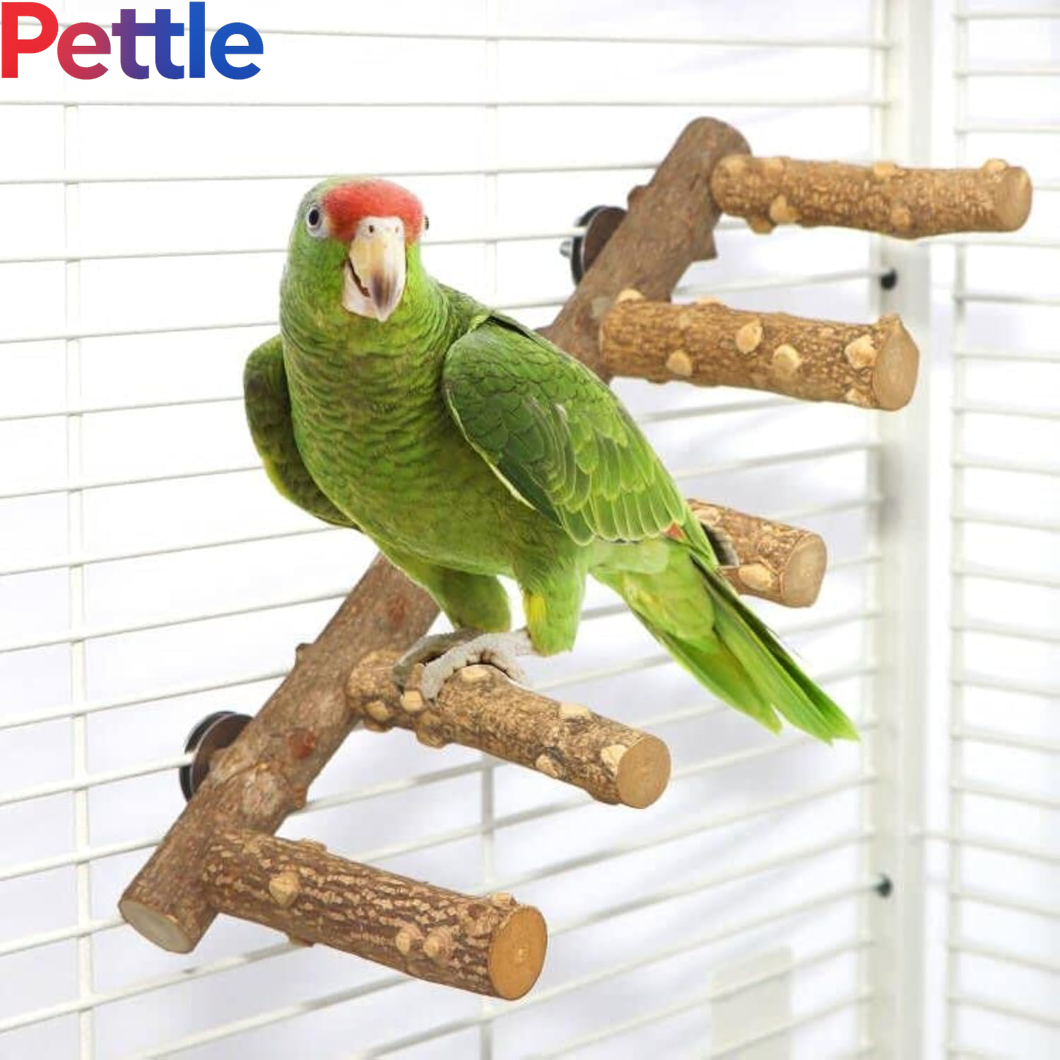 Bird Ladder Perch Cage Nature Wood Stand Parrot Chew Toy for Small Medium Parrot Animal (M)