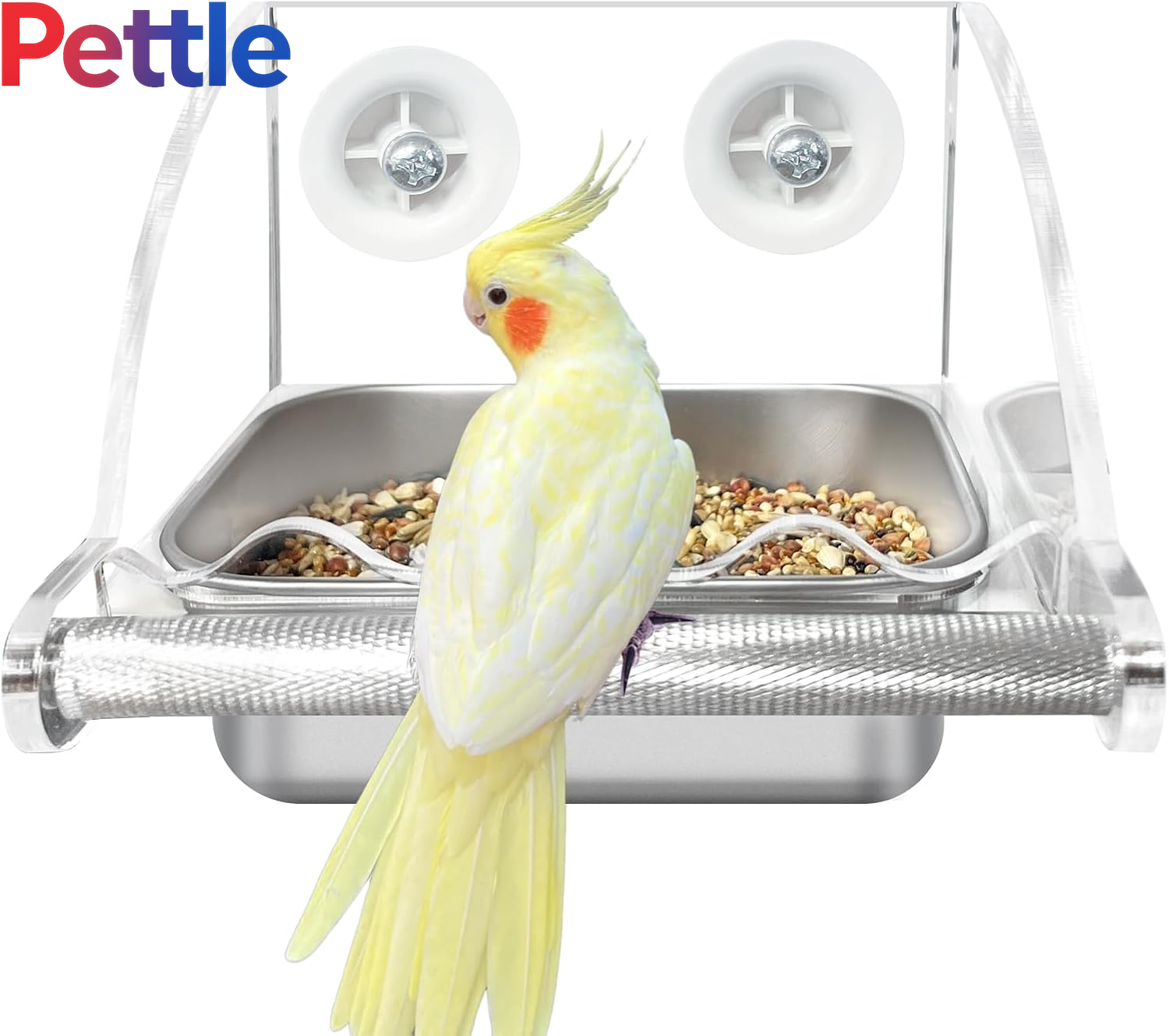 Bird Feeder for Cage,Transparent Bird Feeders, Bird Feeder with Anti-Slip Stand, Stainless Steel Bird Bowls Parakeet Feeder,For Parakeet, Psittacus Erithacus, Lovebirds,Budgies, Transparency