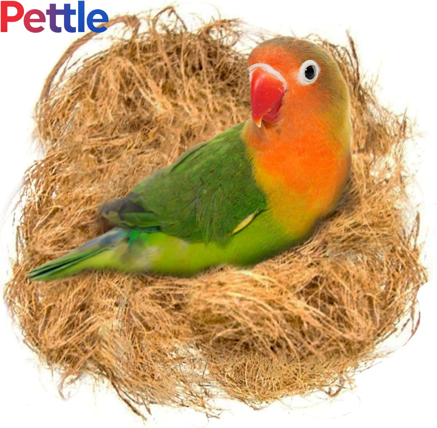 45G Finch Coconut Fiber, Loose Bedding Substrate for Birds Nest Cages, Nesting Material for Budgie Hummingbird Canary Parakeet