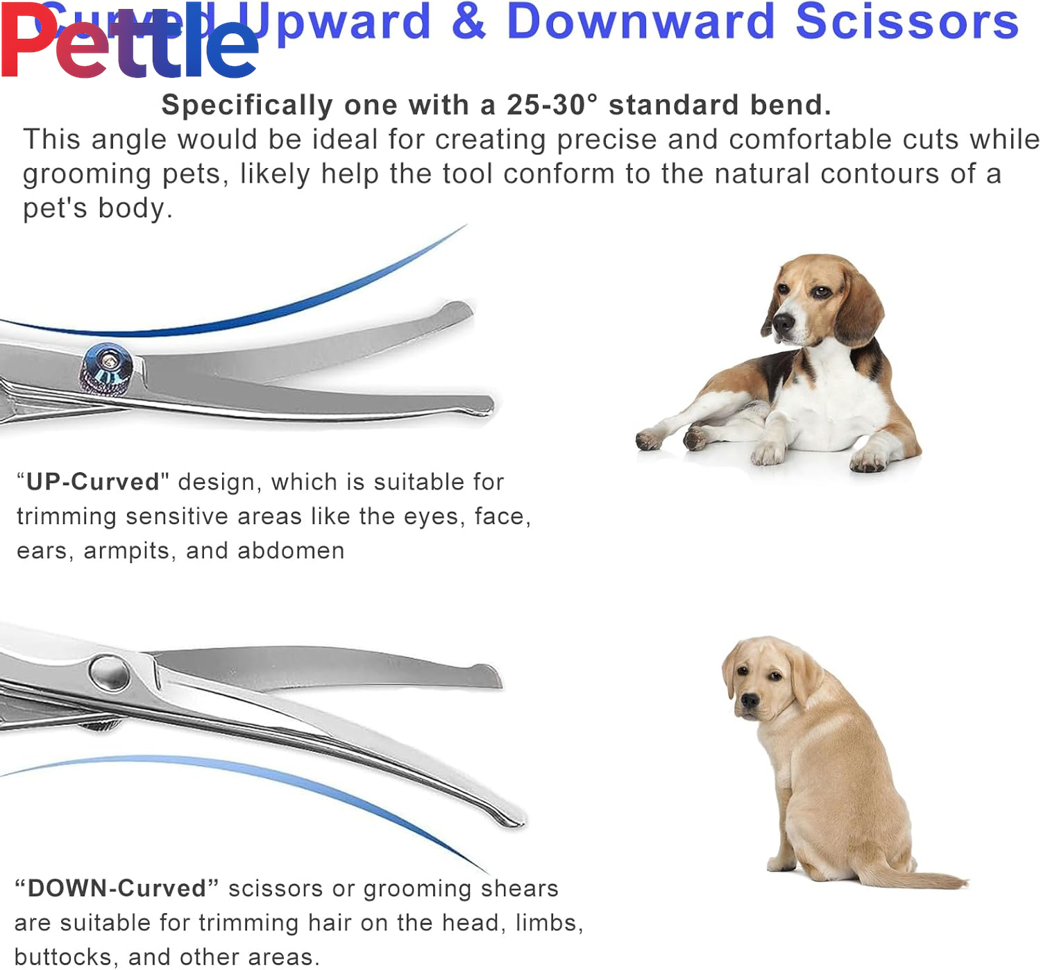 Grooming Scissors,  6.5" Curved  Safety round Tip