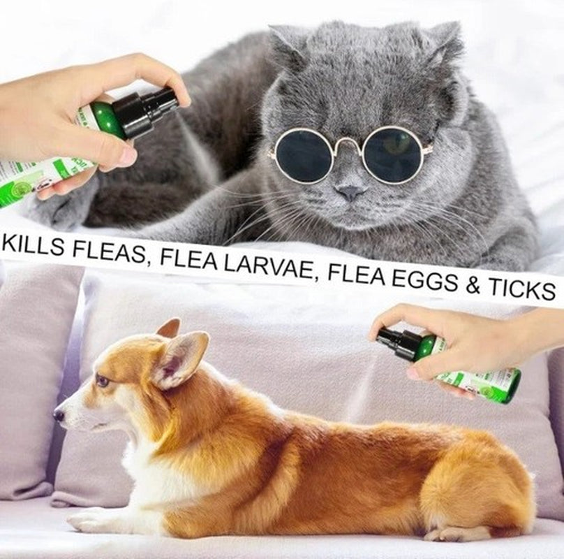 Flea & Tick Spray for Dogs & Cats 100Ml for Dry, Itchy & Irritated Skin -Natural