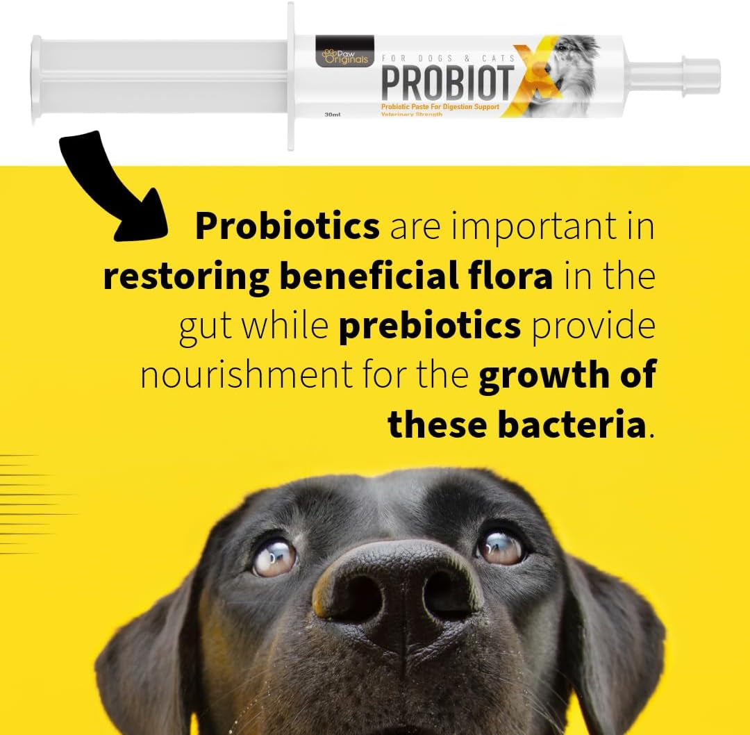 Probiotic X Paste for Dogs – 30Ml Advanced Pro & Prebiotic Formula – Digestive Support for Dogs – Tasty Flavor – Aids Diarrhea Recovery, Gut Health & Overall Wellness