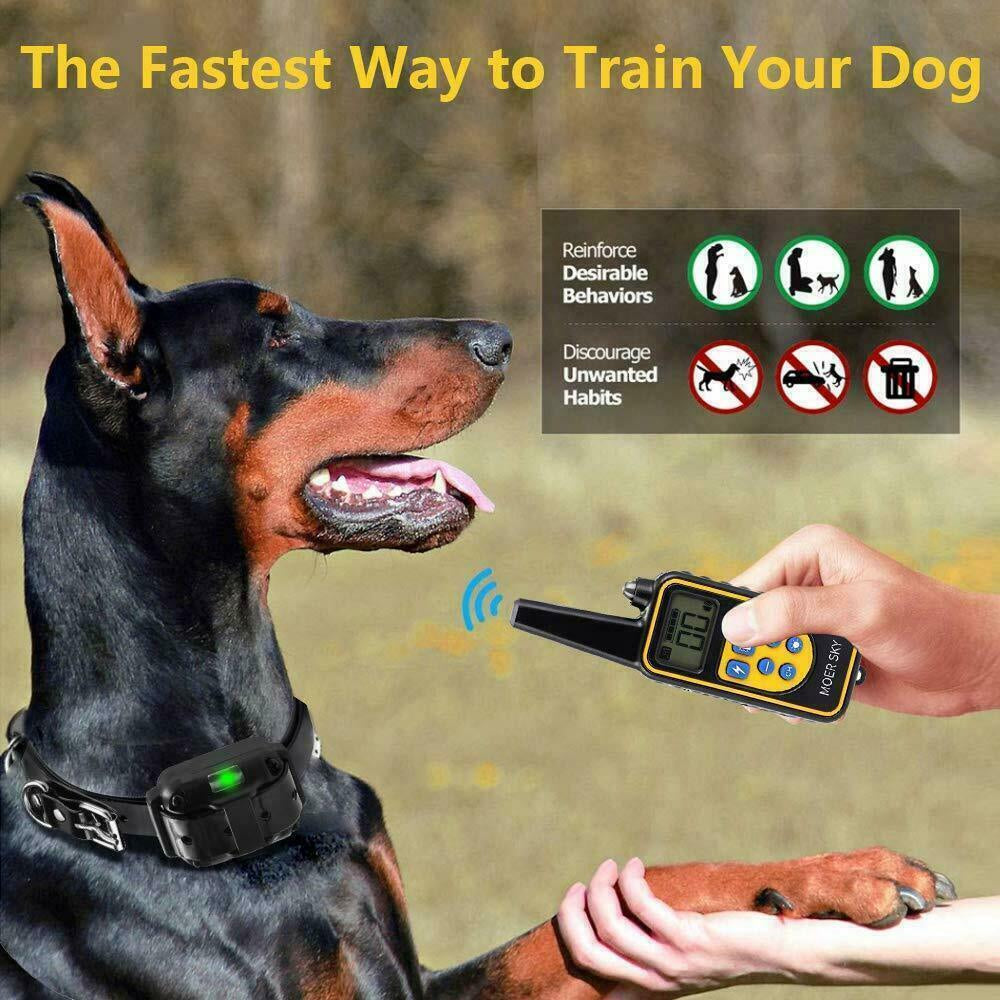 800M Electric Pet Dog Training E-Collar Anti-Bark Obedience Remote Control LCD