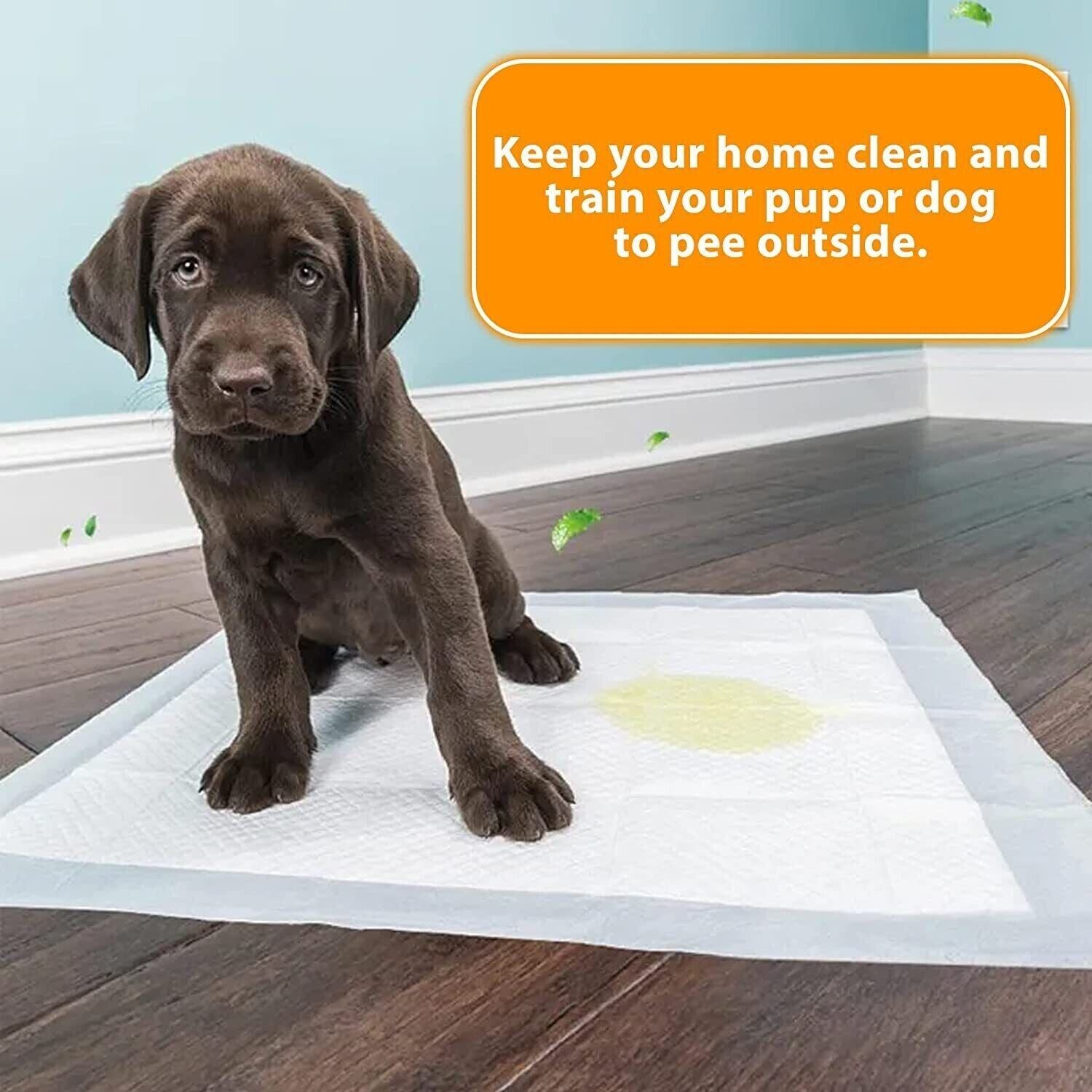 100 LARGE PUPPY TRAINING TRAINER PADS TOILET PEE WEE POO DOG CAT MATS 60 X 60Cm