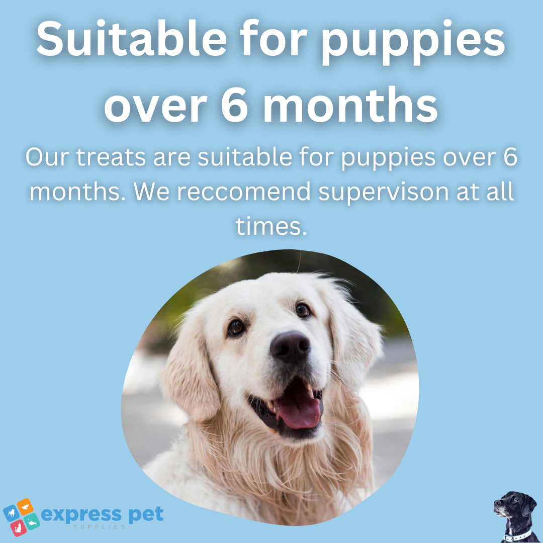 Pigs Ears Extra Large Dog Treats Chew High in Protein Low in Fat Hypoallergenic