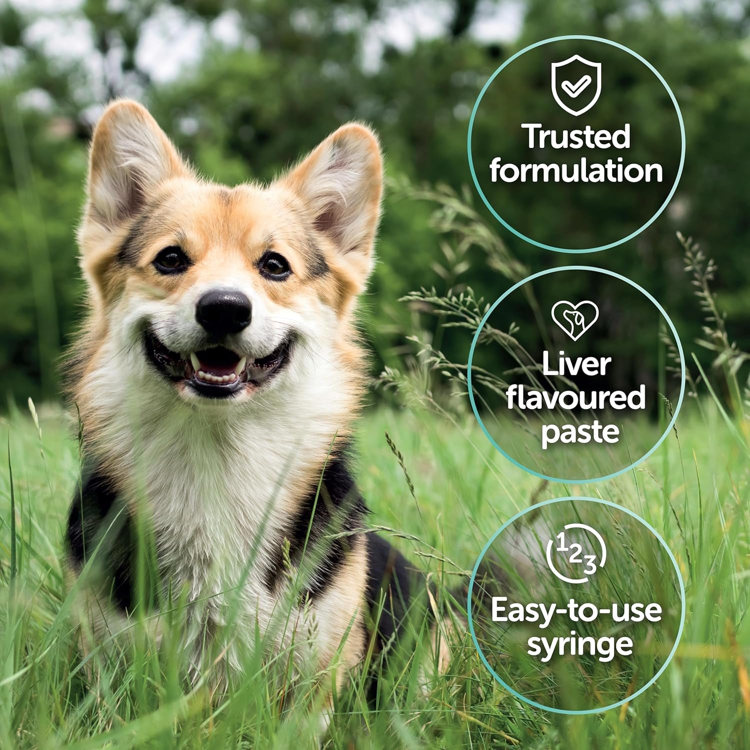Veterinary Pro-Kolin Advanced Gut Health Paste for Dogs to Firm up Poop, Prebiotic and Probiotic Formula, Meat-Free Liver Flavour, 15Ml