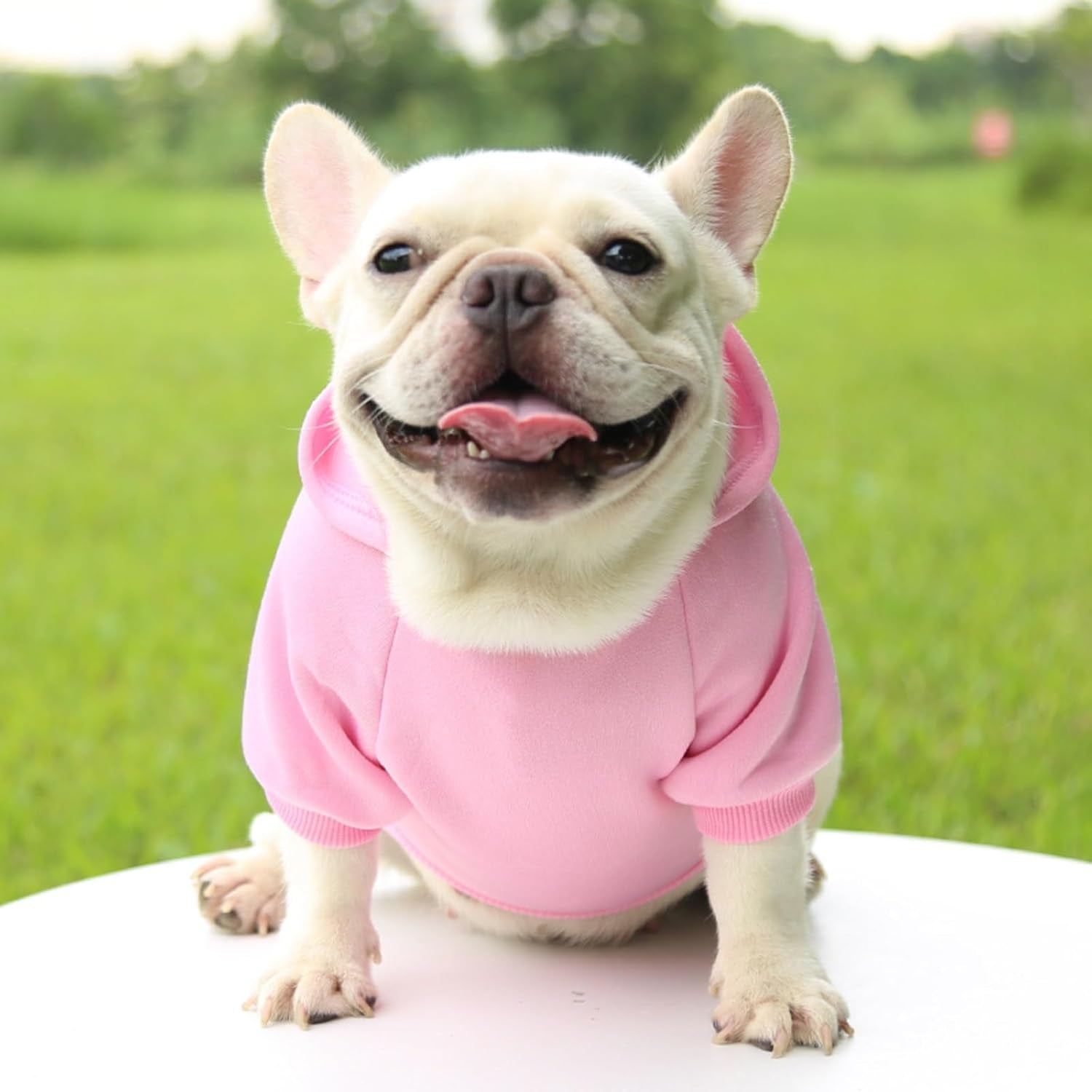 Pet Hoodie with Pocket,Soft Lined Dog Apparel for Pets of Different Sizes,Warm Outfit for Daily Wear and Outings