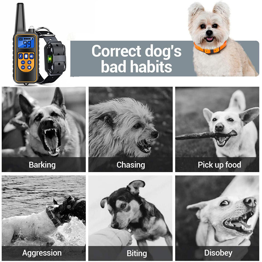 800M Electric Pet Dog Training E-Collar Anti-Bark Obedience Remote Control LCD