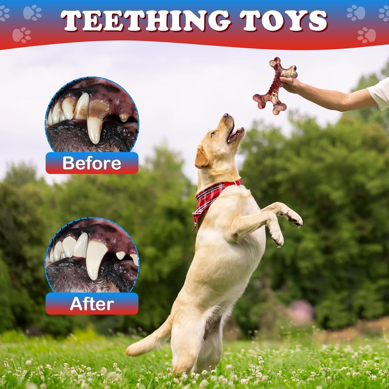 Dog Toys for Aggressive Chewers,Indestructible Dog Toy,Dog Chew Toys,Durable Chew Toy,Rice Bone Shape,Beef Flavor,Pork Belly Color