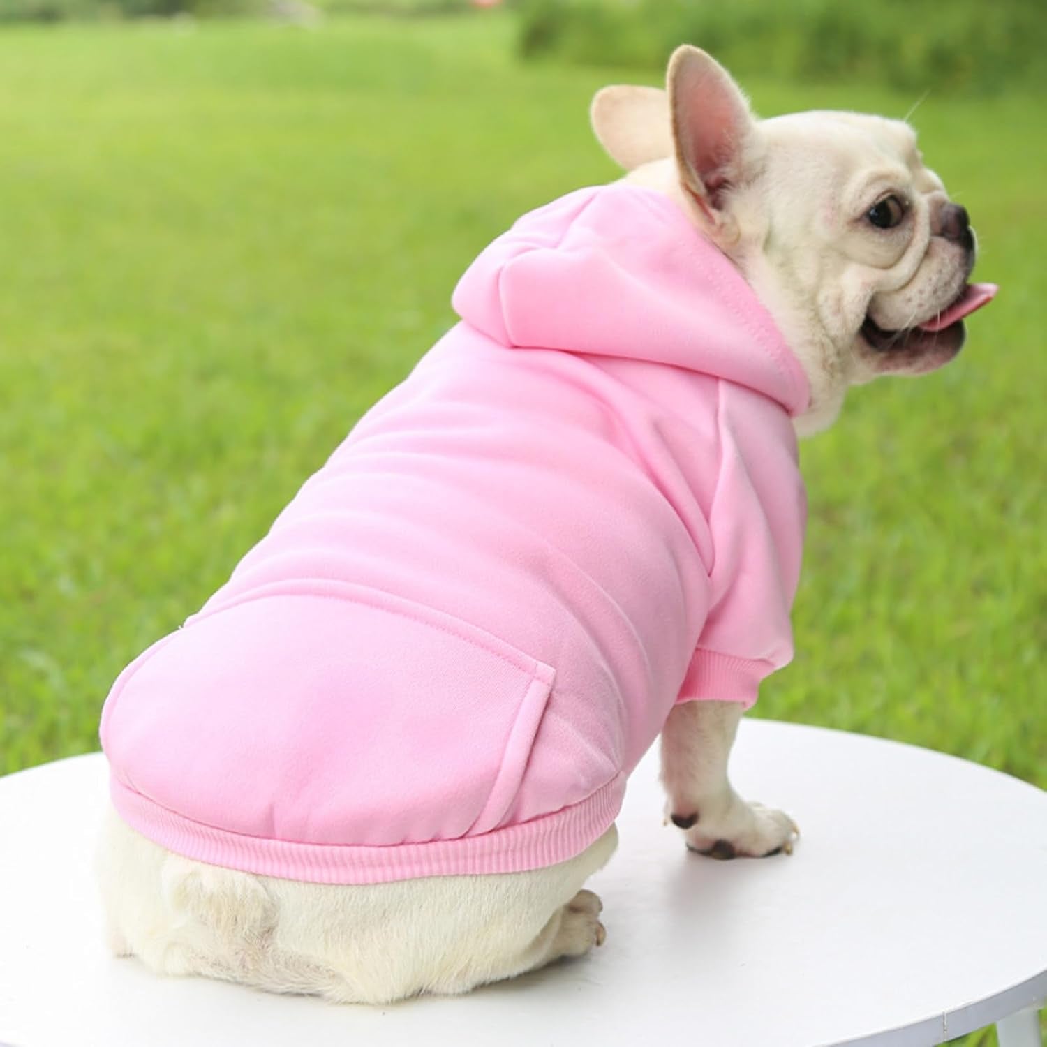 Pet Hoodie with Pocket,Soft Lined Dog Apparel for Pets of Different Sizes,Warm Outfit for Daily Wear and Outings