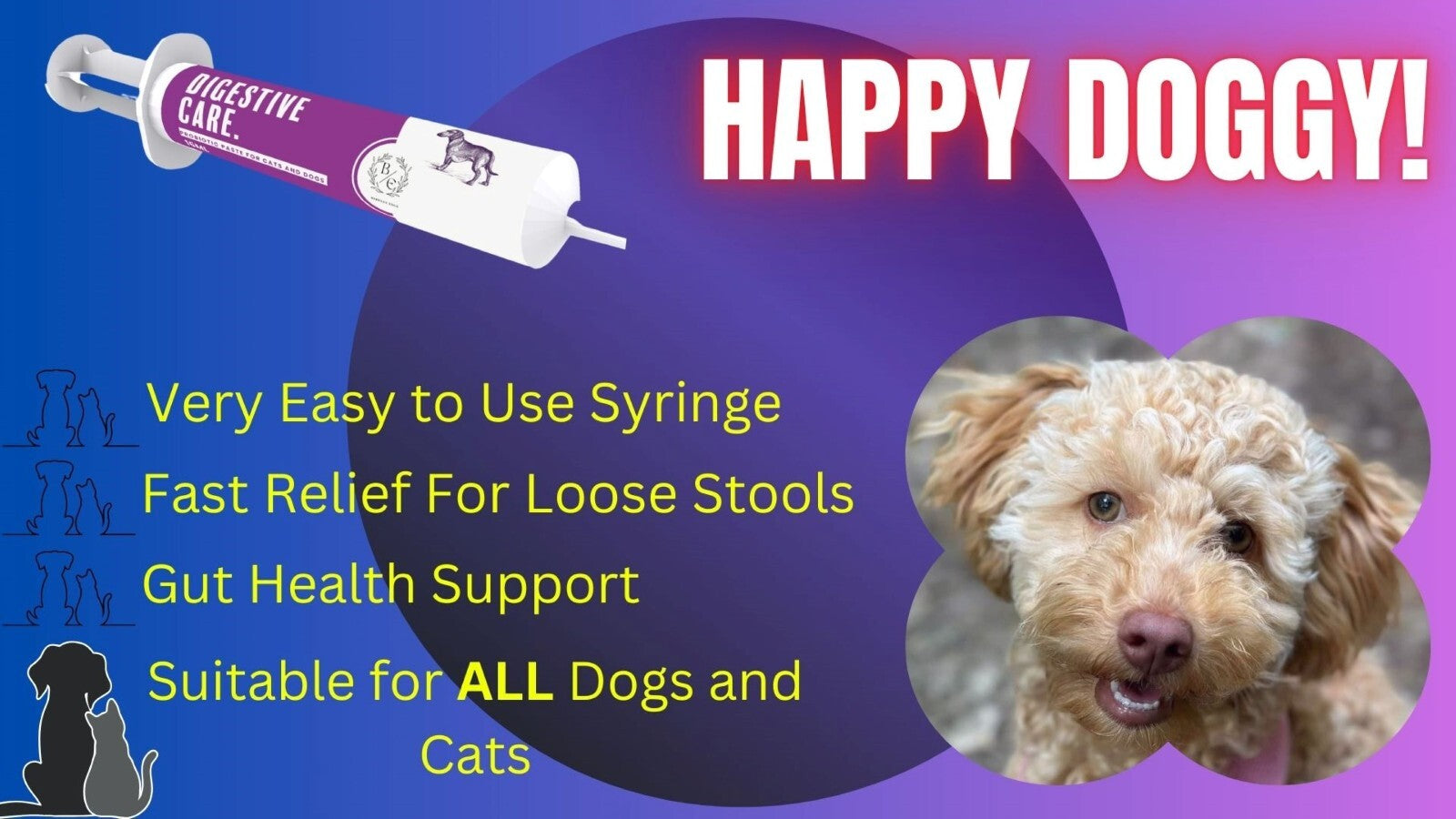 Fast Acting Dog Pre & Probiotic Paste–Gut Health & Stomach Relief, Vet Approved
