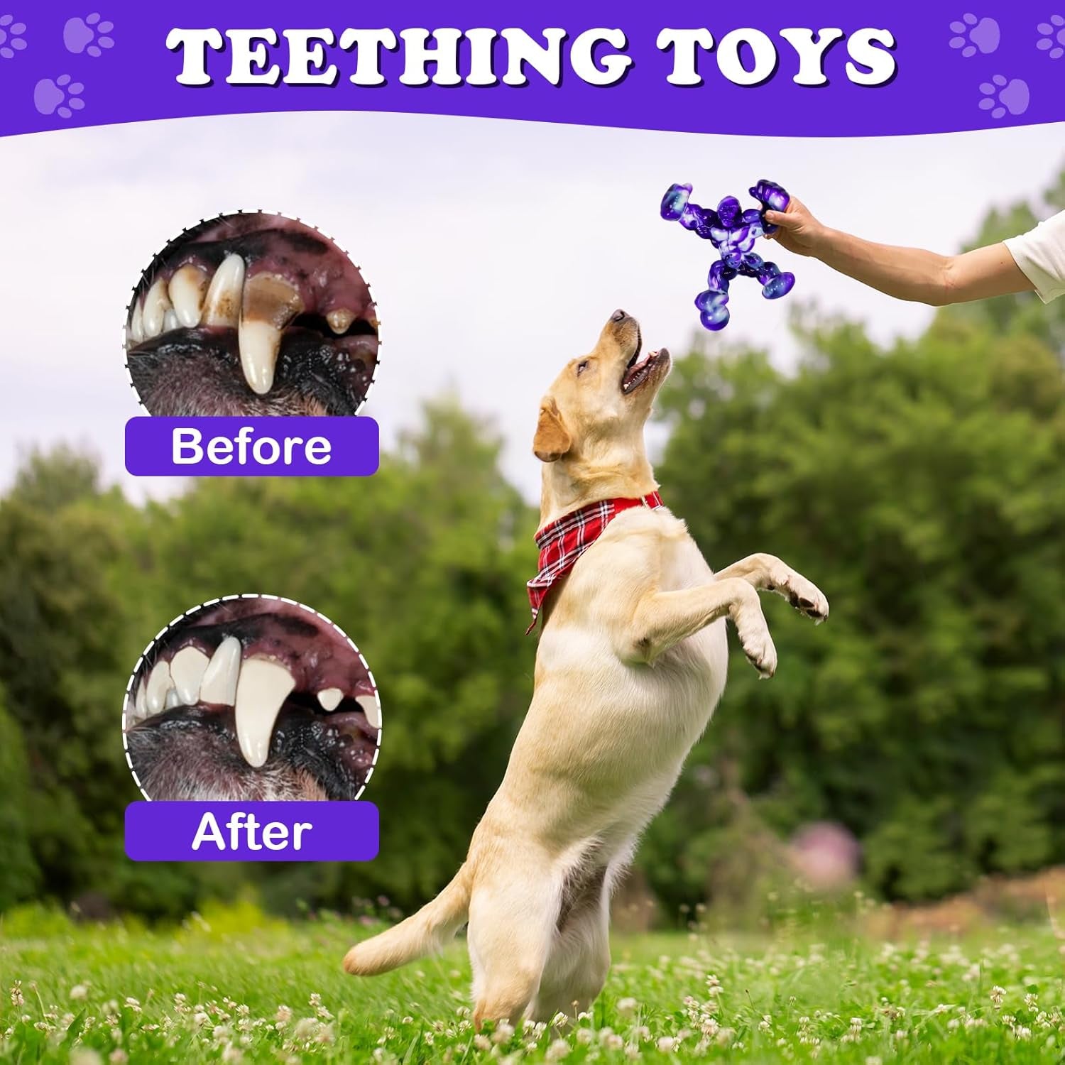 Dog Toys,Indestructible Dog Chew Toys for Aggressive Chewers,Bacon Flavored Tough Dog Bones Chew Toys for Super Chewer,Nylon Durable Dog Toys for Medium Large Breed.