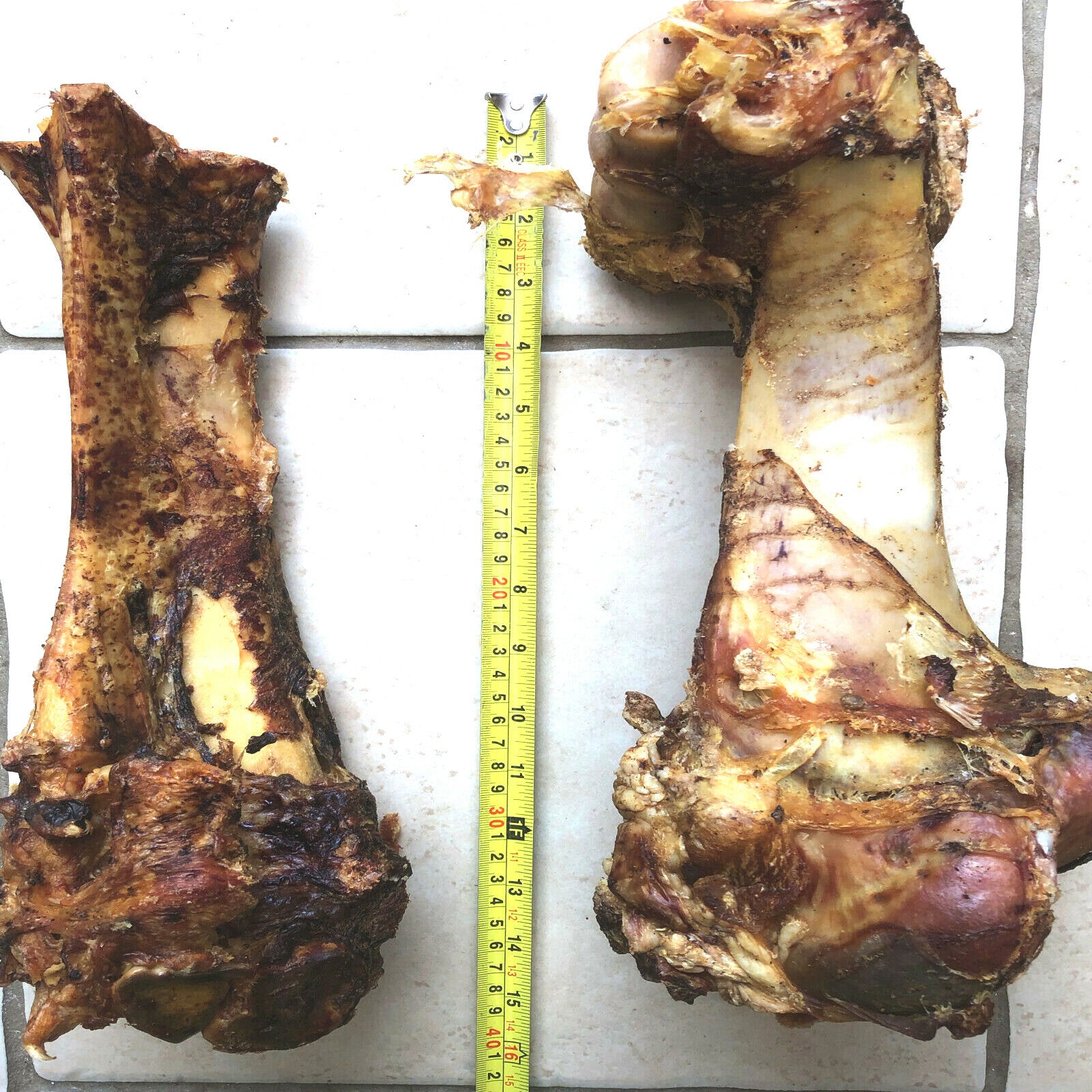 ROASTED WHOLE BONES : 2, 3 or 10 Large Roast Dog Treat Bp Dinosaur Postmans Legs