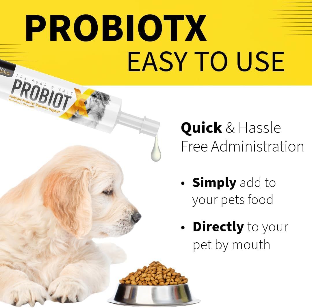 Probiotic X Paste for Dogs – 30Ml Advanced Pro & Prebiotic Formula – Digestive Support for Dogs – Tasty Flavor – Aids Diarrhea Recovery, Gut Health & Overall Wellness