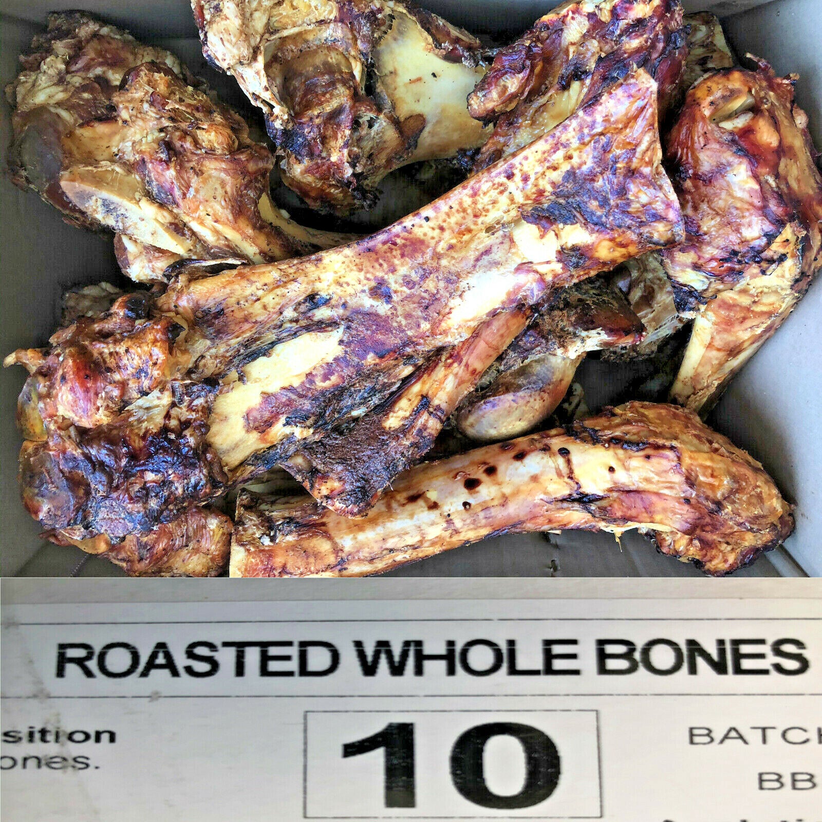 ROASTED WHOLE BONES : 2, 3 or 10 Large Roast Dog Treat Bp Dinosaur Postmans Legs