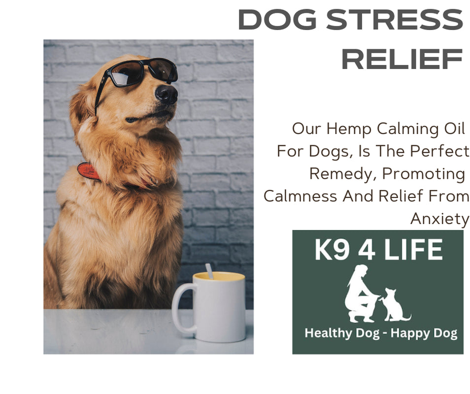 Dog Hemp Oil Pain Relief Joint Care Anxiety Arthritis Stress GET 30Ml FREE Uk