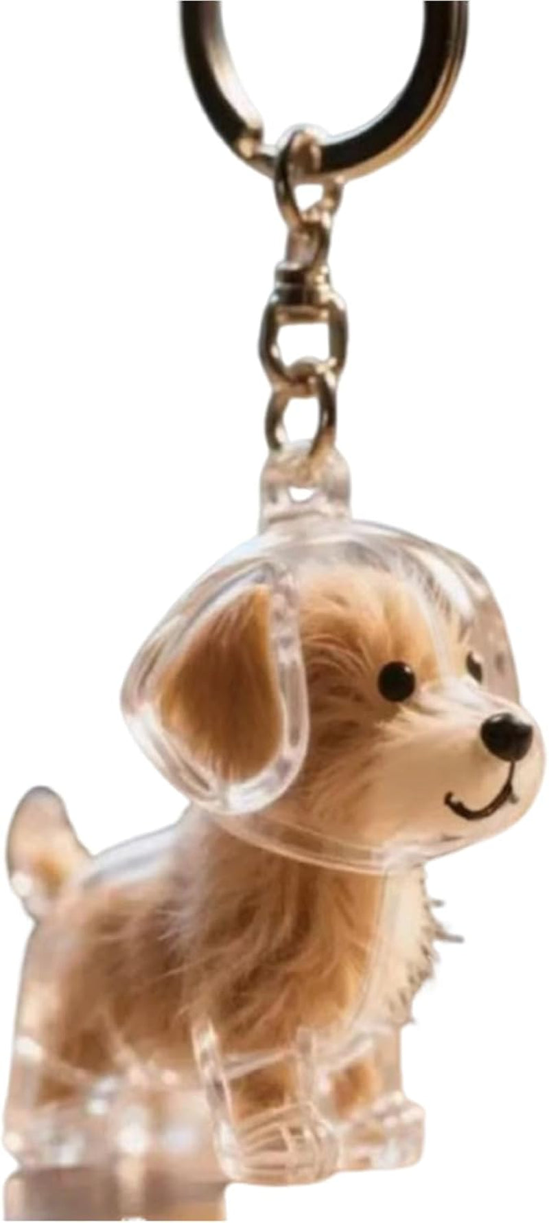 1Pcs Dog Keyring, Pet Hair Storage Keyring, Cat Hair Keepsake, Pet Hair Souvenir Capsule Pendant, Transparent Memorial Keychain for Pet Lovers, Portable Keepsake Holder