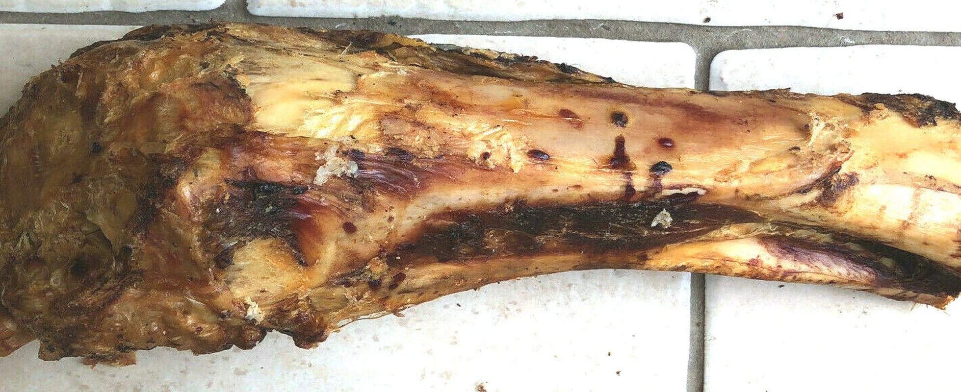 ROASTED WHOLE BONES : 2, 3 or 10 Large Roast Dog Treat Bp Dinosaur Postmans Legs
