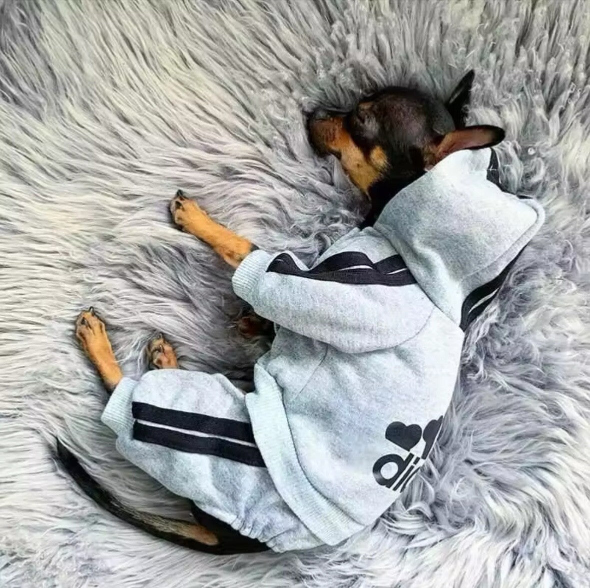 Adidog Dog Tracksuit Pet Jumpsuit Stylish Hoodie Puppy Clothes Summer Outfit Dog