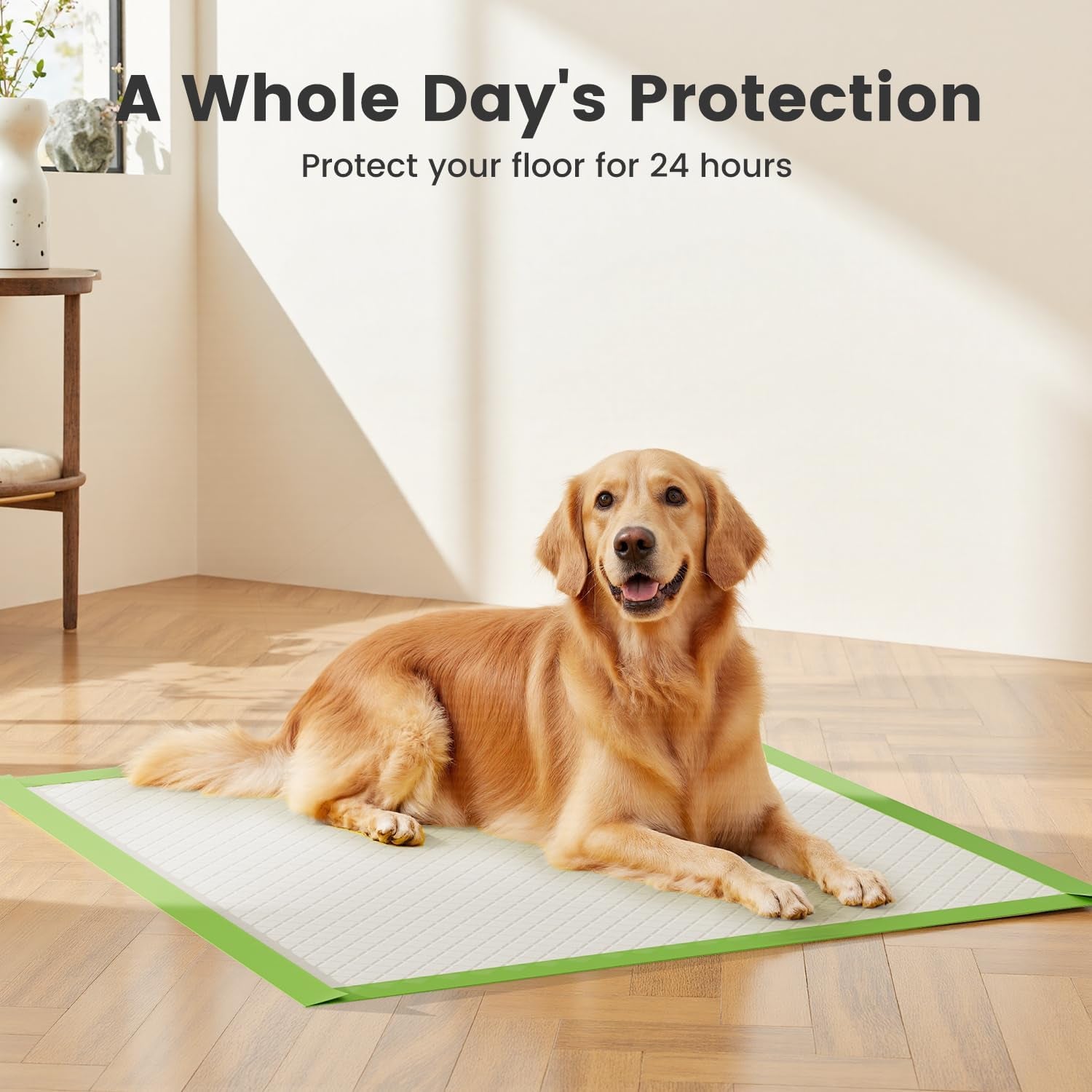 Extra Large Puppy Pads 70X85Cm, Super Absorbent Thicker Puppy Training Pads, 6 Layers of Leak-Proof, Fast Drying, Suitable for Dogs, Cats, Rabbits (10 Pack)