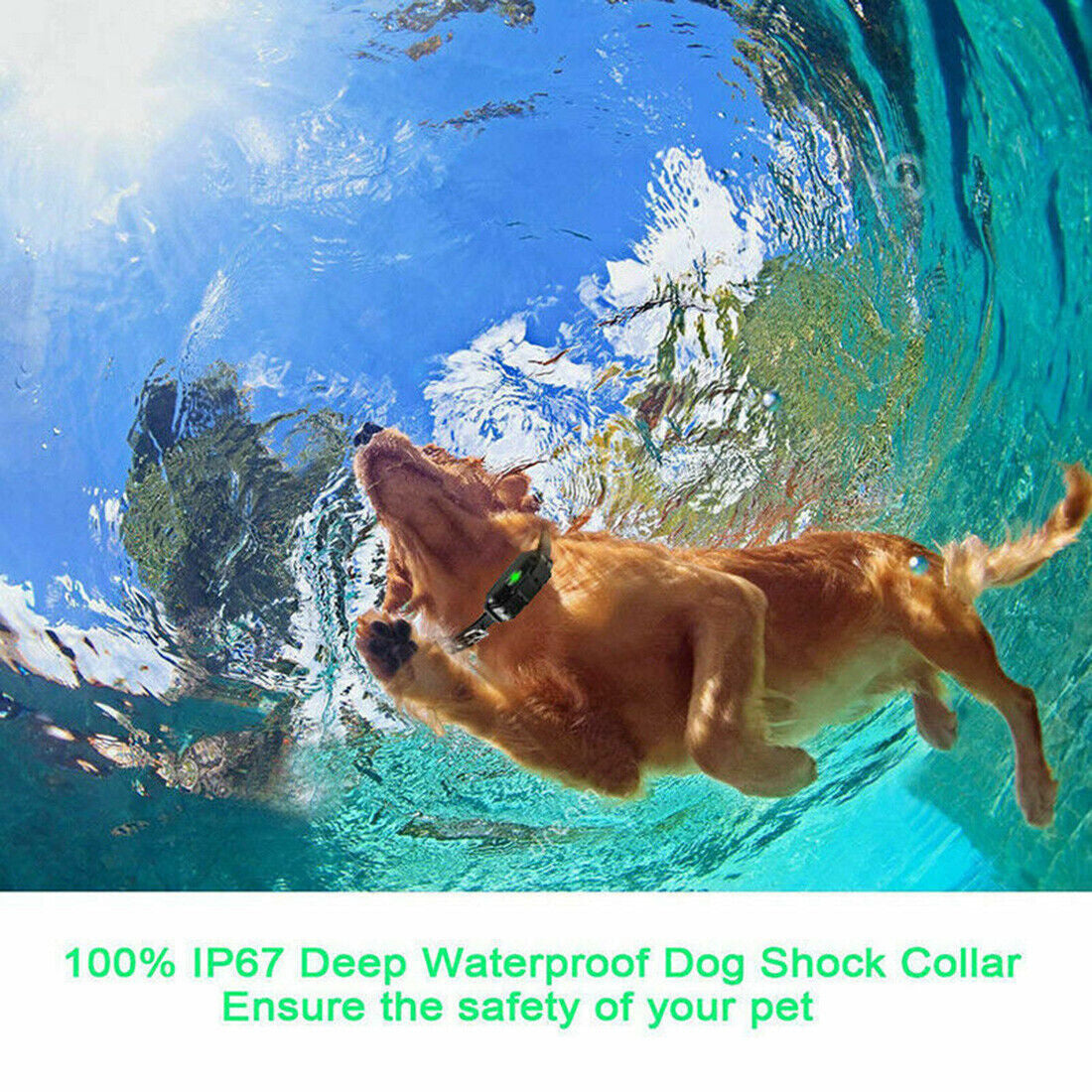 800M Electric Pet Dog Training E-Collar Anti-Bark Obedience Remote Control LCD