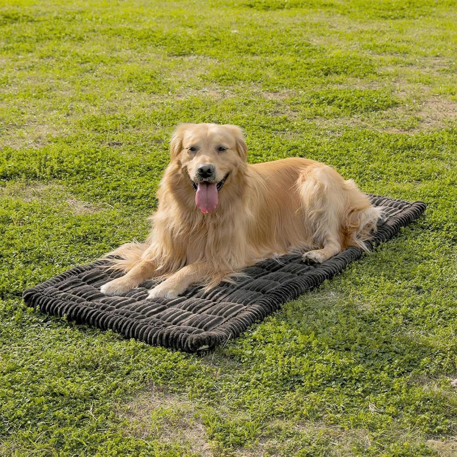 Dog Car Seat Cover 137X60Cm - Waterproof Nonslip Backseat Hammock Seat Protector | Washable Automotive Pet Bed Mat, Scratch Resistant Travel Cushion for Dogs Cats, Truck SUV Van Interior Accessories
