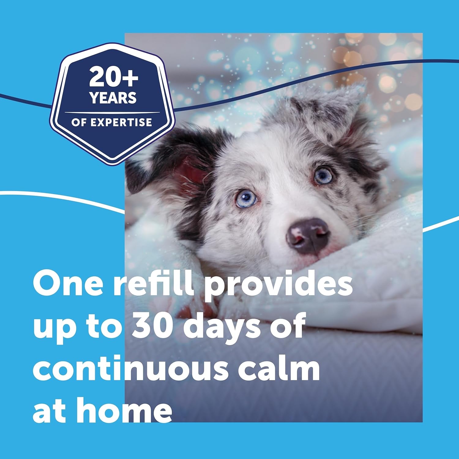 Calm Home Diffuser for Dogs with 30 Day Refill,  Dog Calming Plug in Pheromone Diffuser to Help Reduce Anxiety and Stress in Pet Dogs, Pet Diffuser Helps Anxious Dogs Stay Calmer