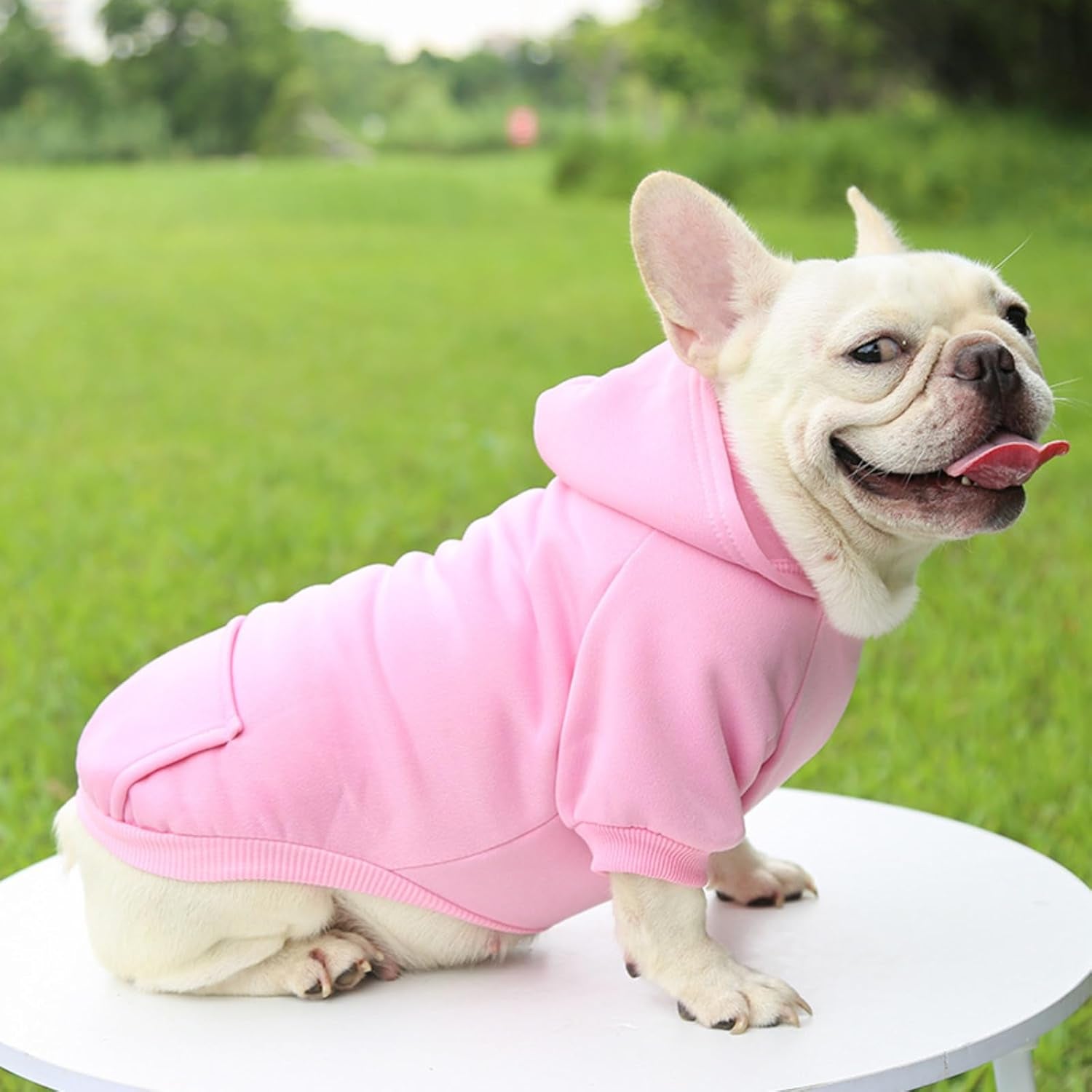 Pet Hoodie with Pocket,Soft Lined Dog Apparel for Pets of Different Sizes,Warm Outfit for Daily Wear and Outings