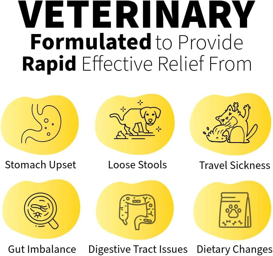 Probiotic X Paste for Dogs – 30Ml Advanced Pro & Prebiotic Formula – Digestive Support for Dogs – Tasty Flavor – Aids Diarrhea Recovery, Gut Health & Overall Wellness