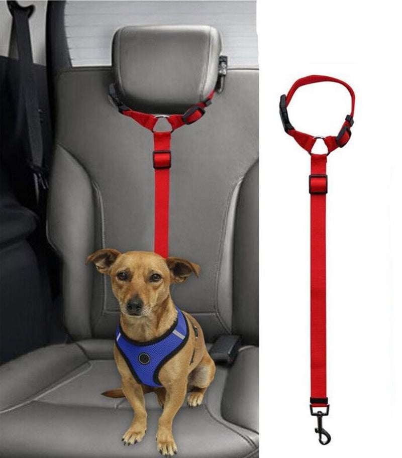 Pet Dog Water Bottle Travel Portable Drinking Water Dispenser with Poo Bags UK