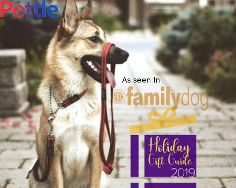 Reflective Nylon Choke Collar; Slip Show Obedience Training Gentle Choker for Medium Dogs, Orange
