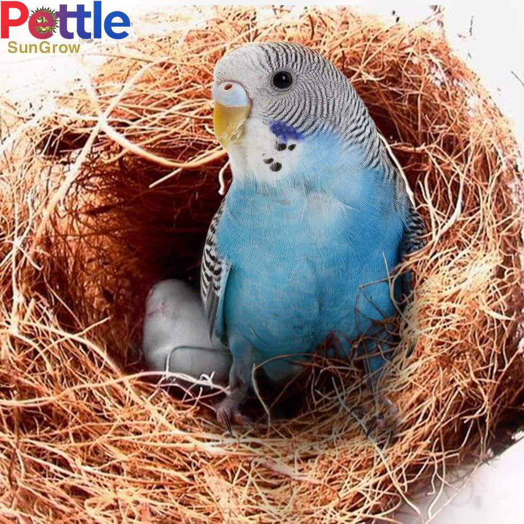 45G Finch Coconut Fiber, Loose Bedding Substrate for Birds Nest Cages, Nesting Material for Budgie Hummingbird Canary Parakeet