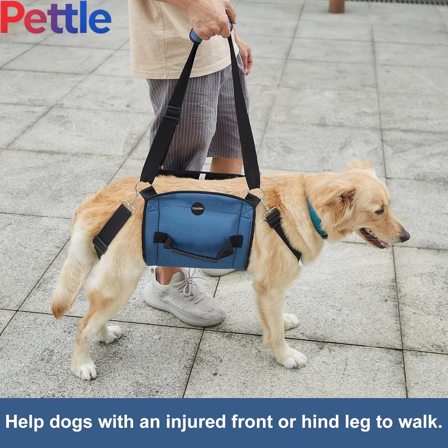 Dog Carry Sling, Emergency Backpack Pet Legs Support & Rehabilitation Dog Lift Harness for Nail Trimming, Dog Carrier for Senior Dogs Joint Injuries, Arthritis, up and down Stairs(2Xl, Blue)