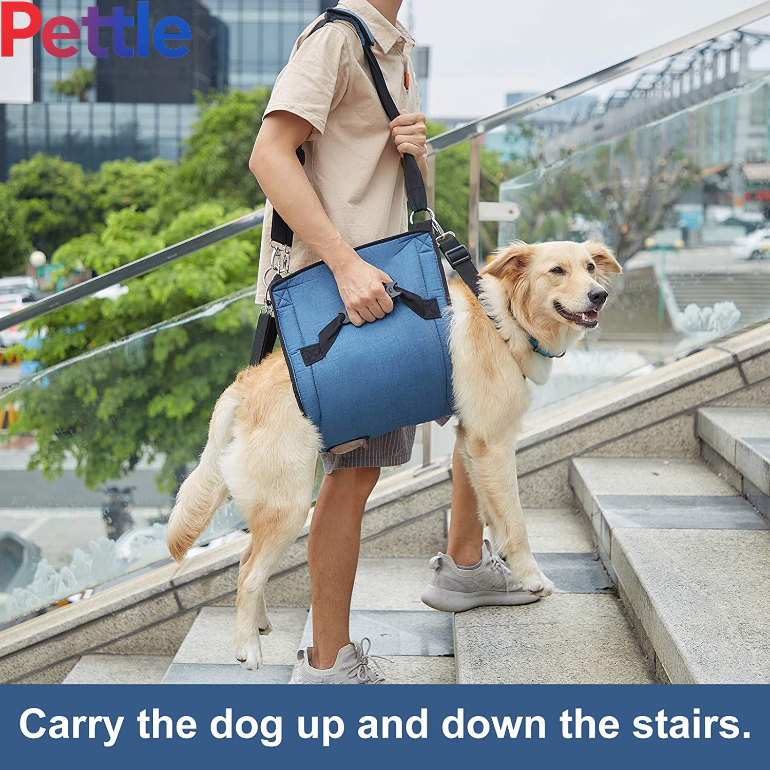 Dog Carry Sling, Emergency Backpack Pet Legs Support & Rehabilitation Dog Lift Harness for Nail Trimming, Dog Carrier for Senior Dogs Joint Injuries, Arthritis, up and down Stairs(2Xl, Blue)