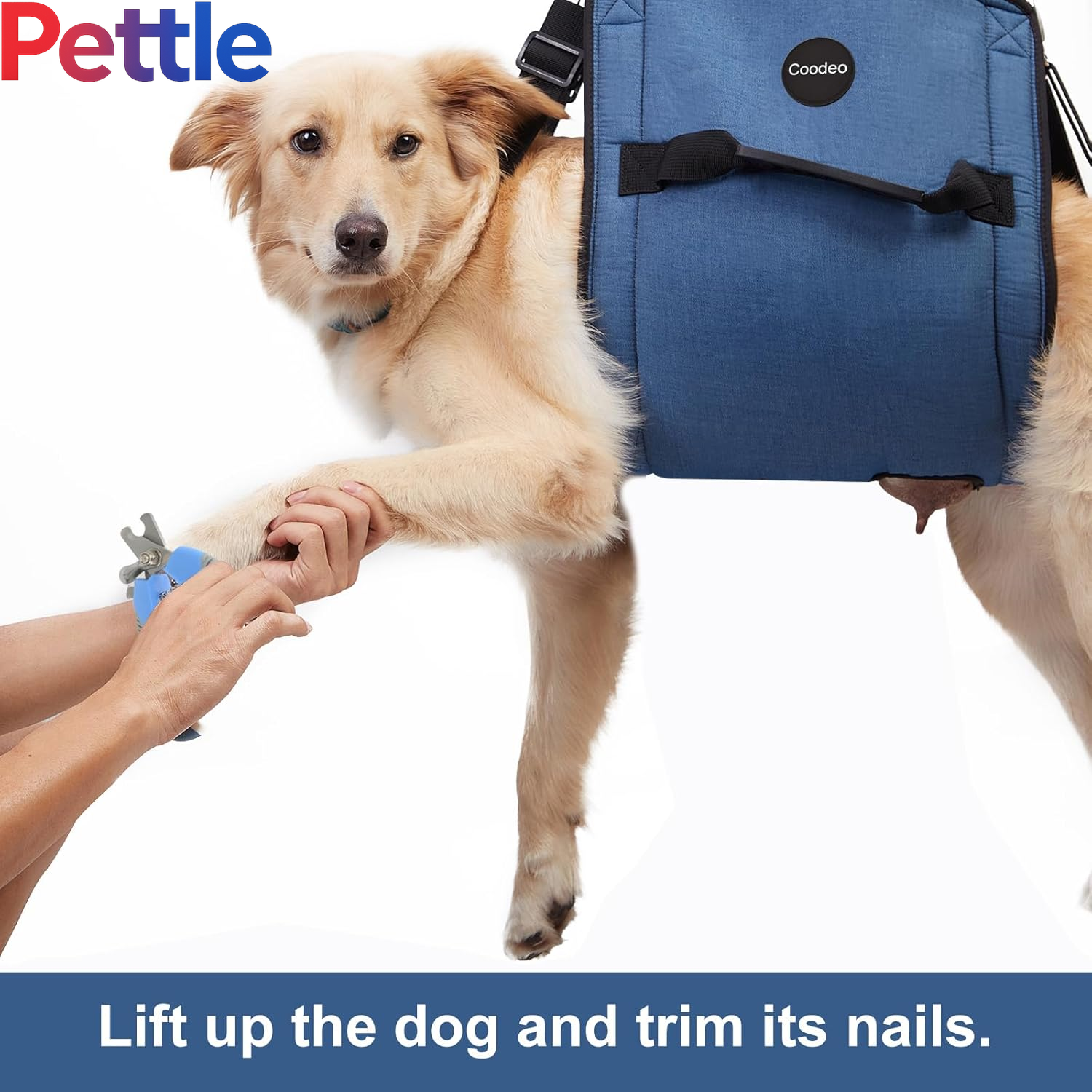 Dog Carry Sling, Emergency Backpack Pet Legs Support & Rehabilitation Dog Lift Harness for Nail Trimming, Dog Carrier for Senior Dogs Joint Injuries, Arthritis, up and down Stairs(2Xl, Blue)