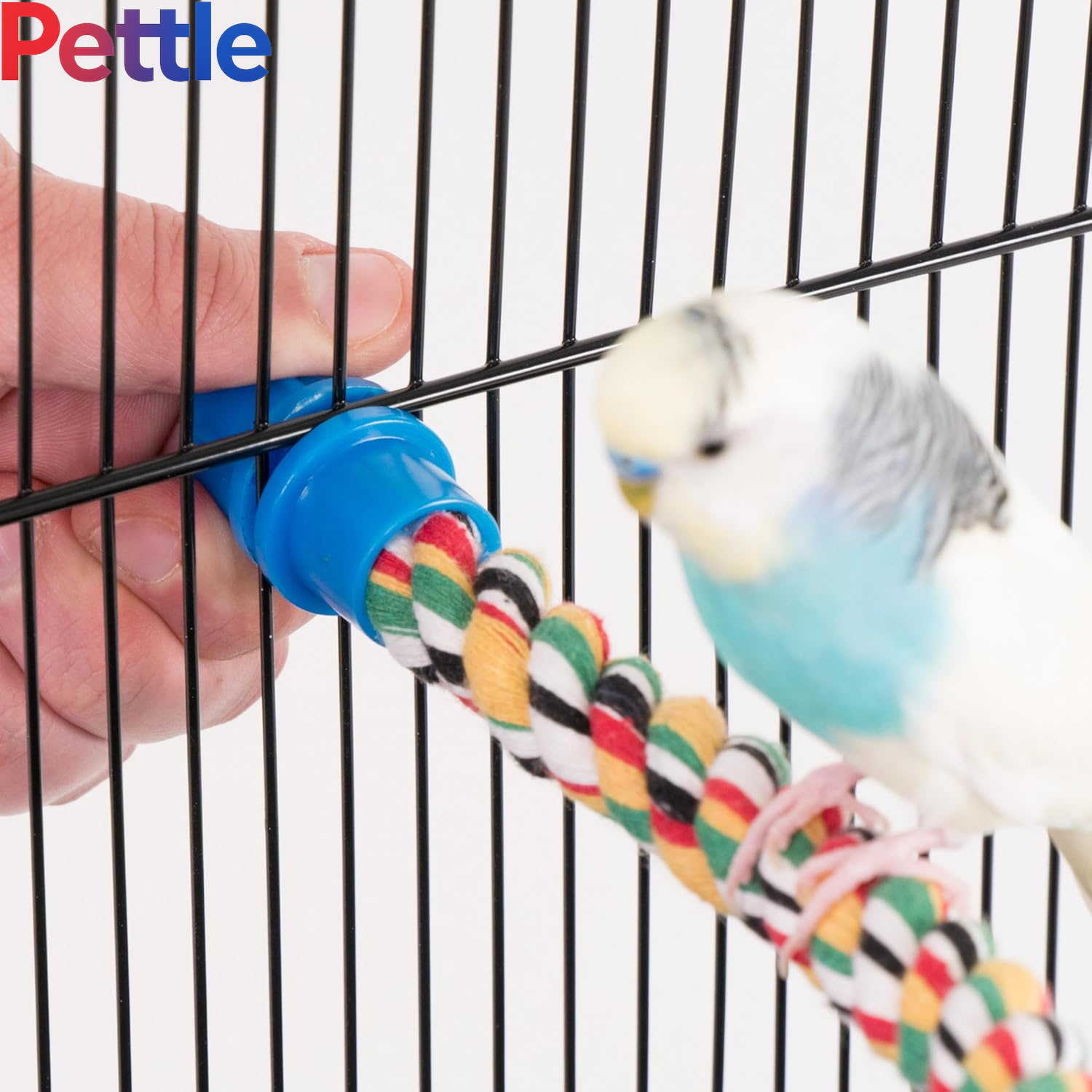 Bird Life Multicolored and Flexible Rope Perch – Create Fun, Colorful Curves and Bends – Great for Small and Medium Birds – 21” Long