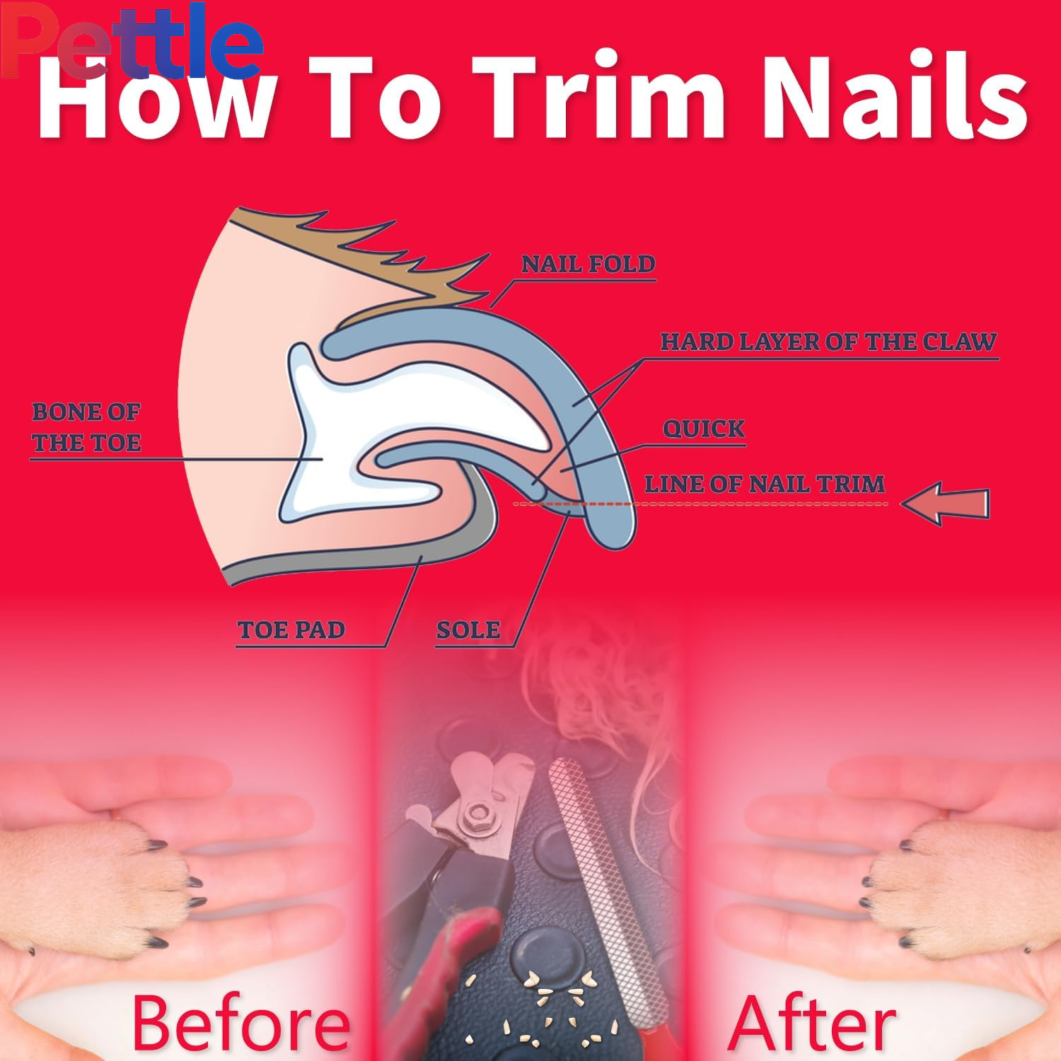  Nails Clippers 