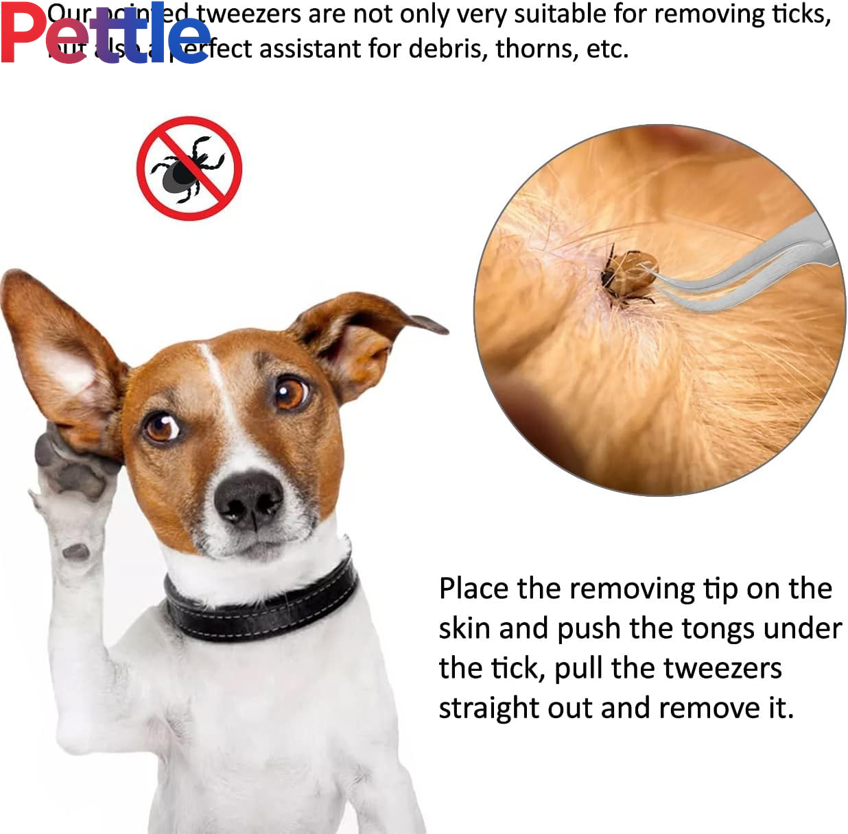 Professional Tweezers - Tick Remover