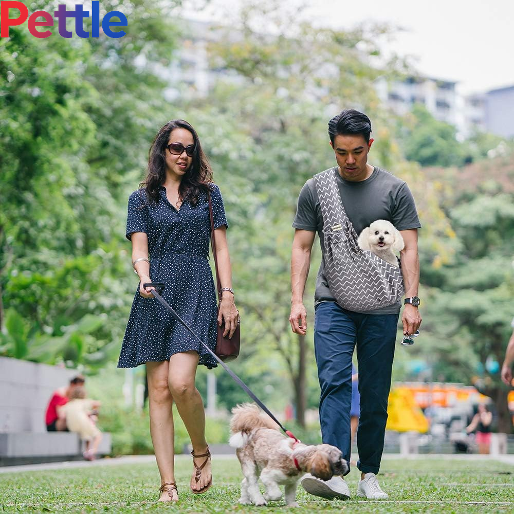 Small Pet Sling Carrier-Hands Free Reversible Pet Papoose Bag Tote Bag with a Pocket Safety Belt Dog Cat for Outdoor Travel Grey Stripe
