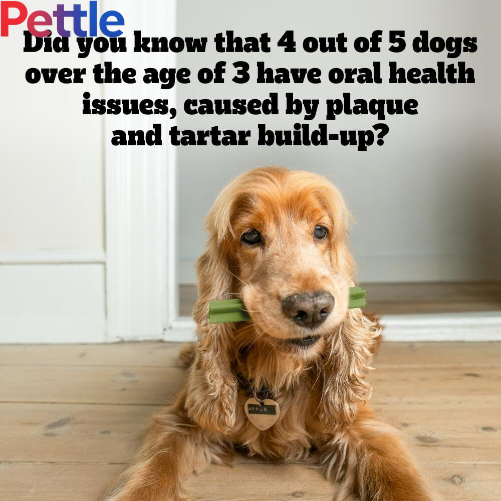 Dentastix - Daily Fresh Dental Chews - 70 Sticks 